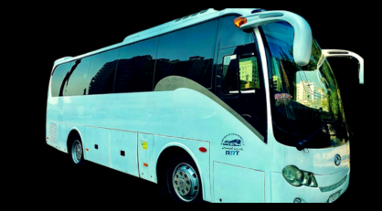 Executive Coaches